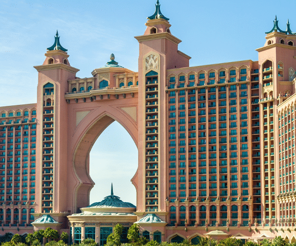 Untitled design (18)