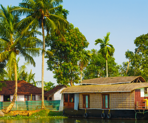 Untitled design (16)